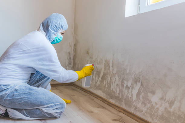 Licensed Mold Testing service in Happy Valley, OR - WQB Mold Removal