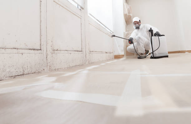 24/7 Emergency Mold Testing experts in Happy Valley, OR