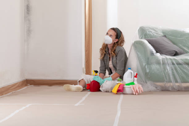 Reliable Mold Testing contractor in Happy Valley, OR by WQB Mold Removal