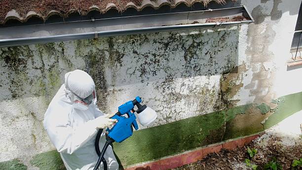 Top rated local Mold Testing specialists in Happy Valley, OR